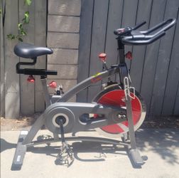 Sunny Spin Bike