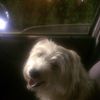 J.Cooper.W