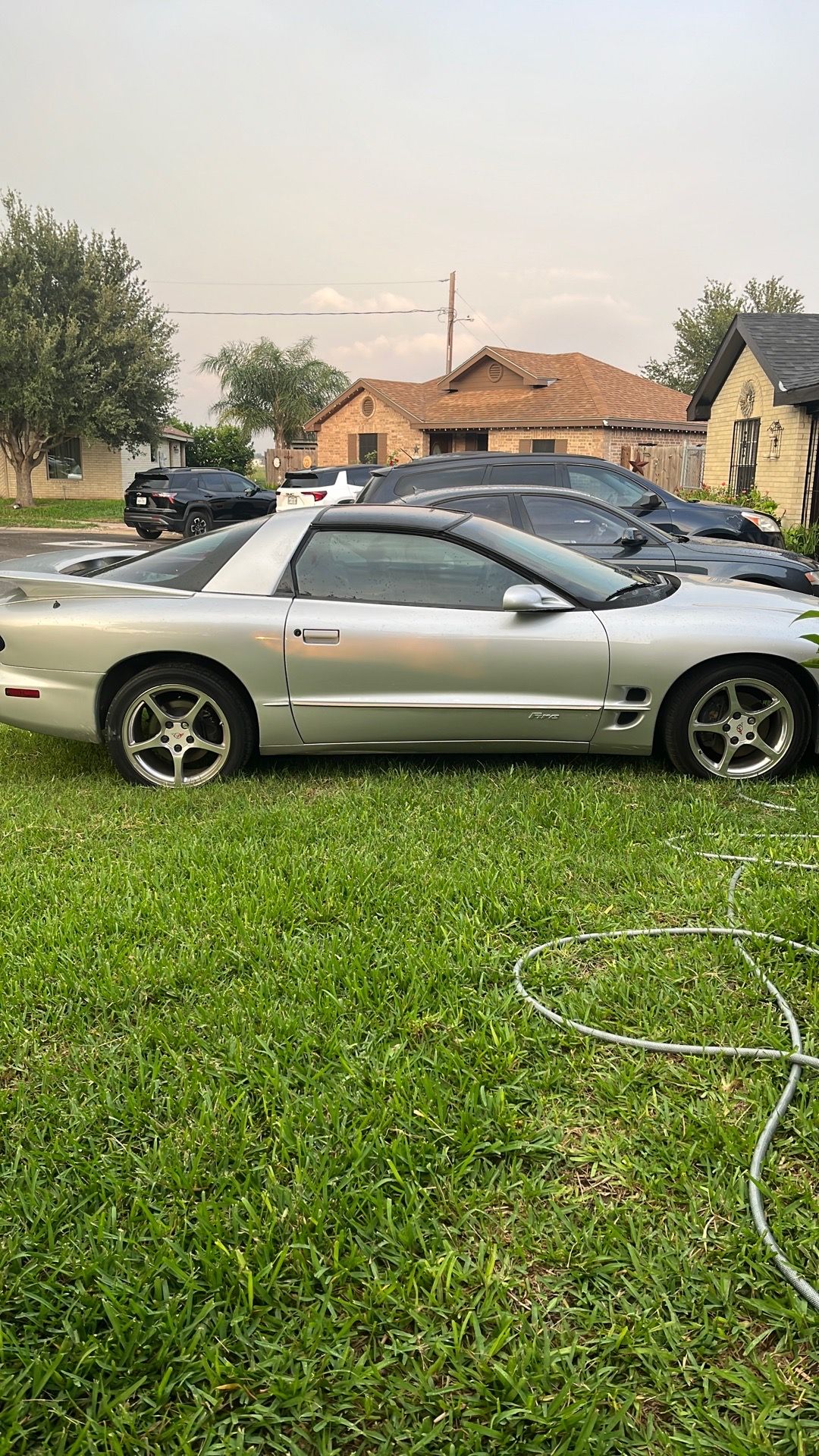 Pontiac fiber 1999