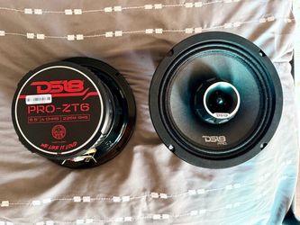 DS18 6.5 speakers