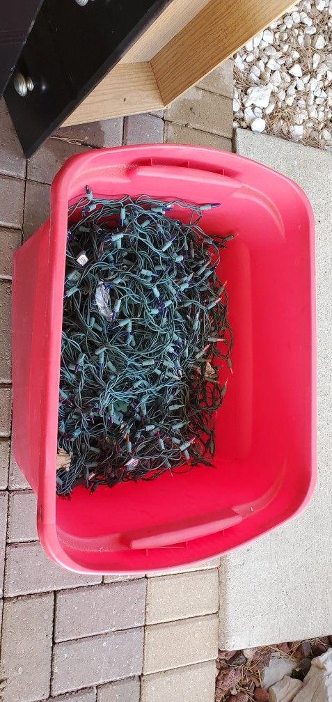 tub of Christmas lights