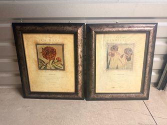 Schumann & Mendelssohn Botanical Framed Prints Set of 2