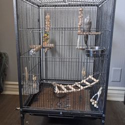 Bird Cage And Accessories 