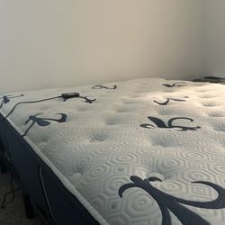 Queen Bed, Very Comfortable, Excellent Condition!!!!!!!!!!!!