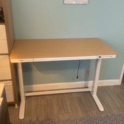 Standing Desk (FlexiSpot Adjustable Height )