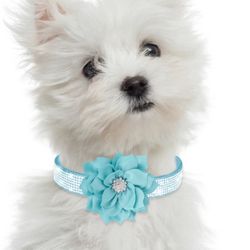 Sparkly Flower Dog Collar: Rhinestone - Embellished, Adjustable, Soft Microfiber