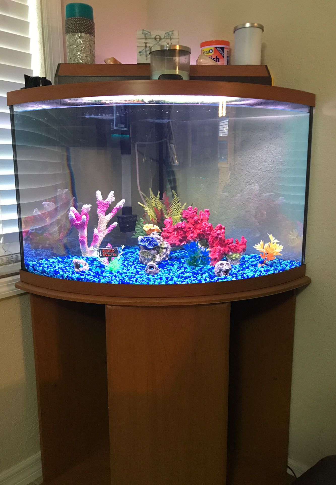 Fish tank 35 gallons