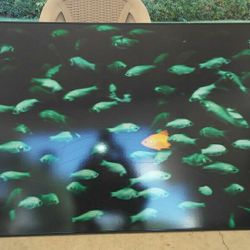 Beautiful fish wall picture