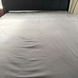 Full Size Upholstery Bed