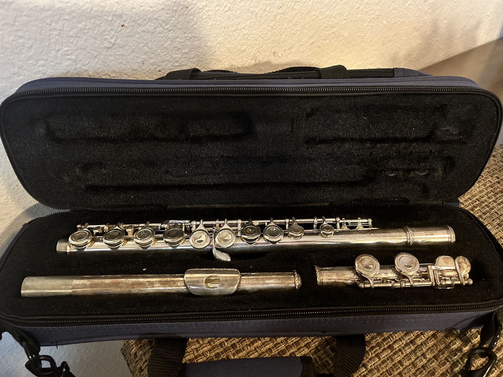 Flute With Case 🪈