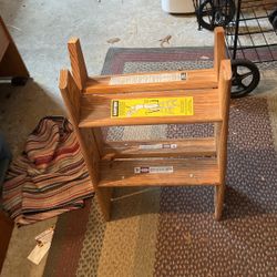 Two Step Ladder