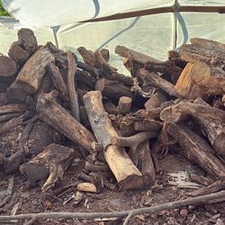 Firewood For Sale