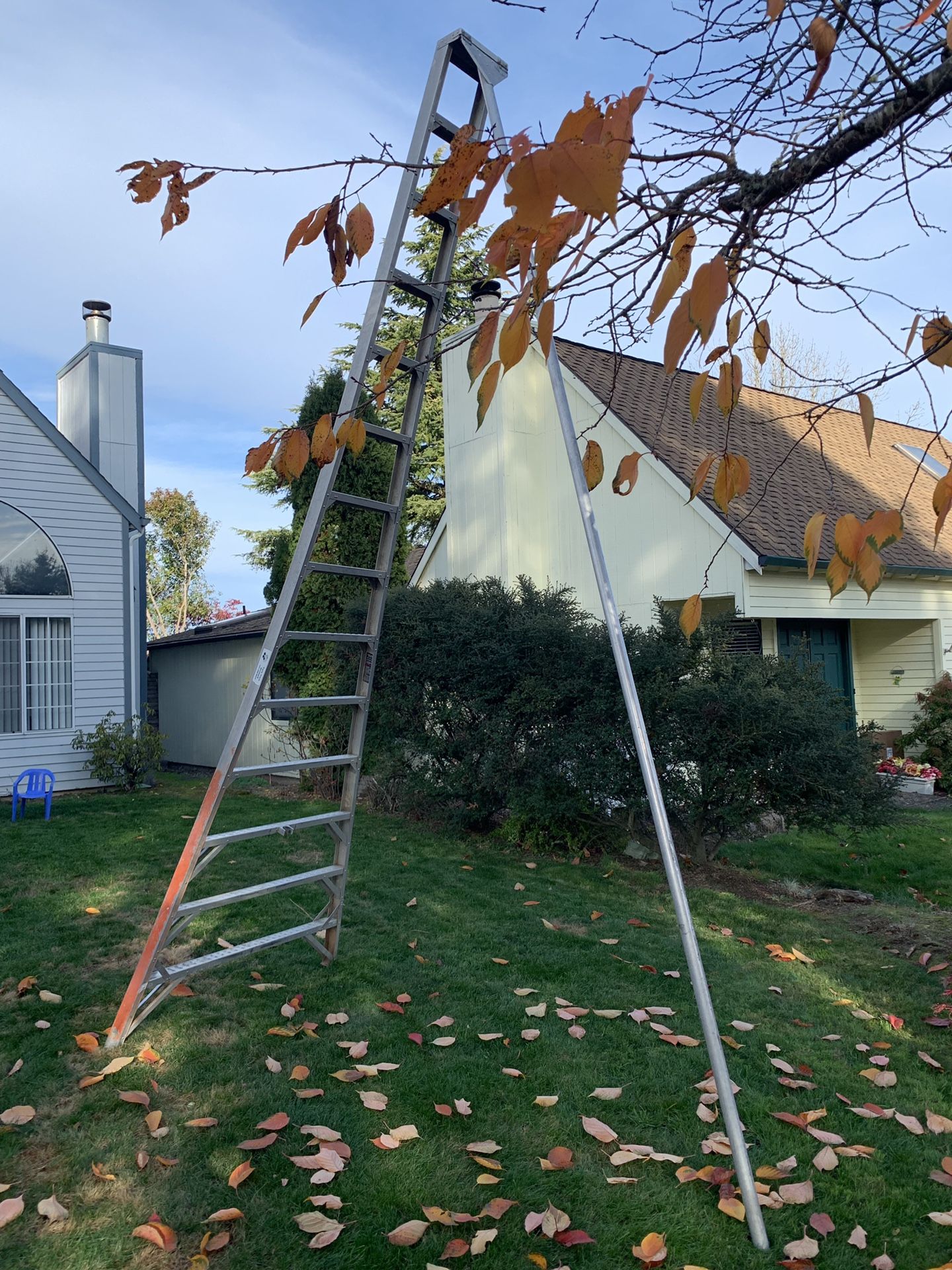 Orchard ladder