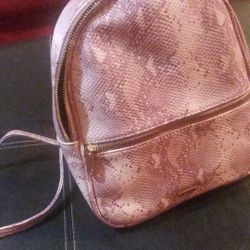 Brand new purse from icing store