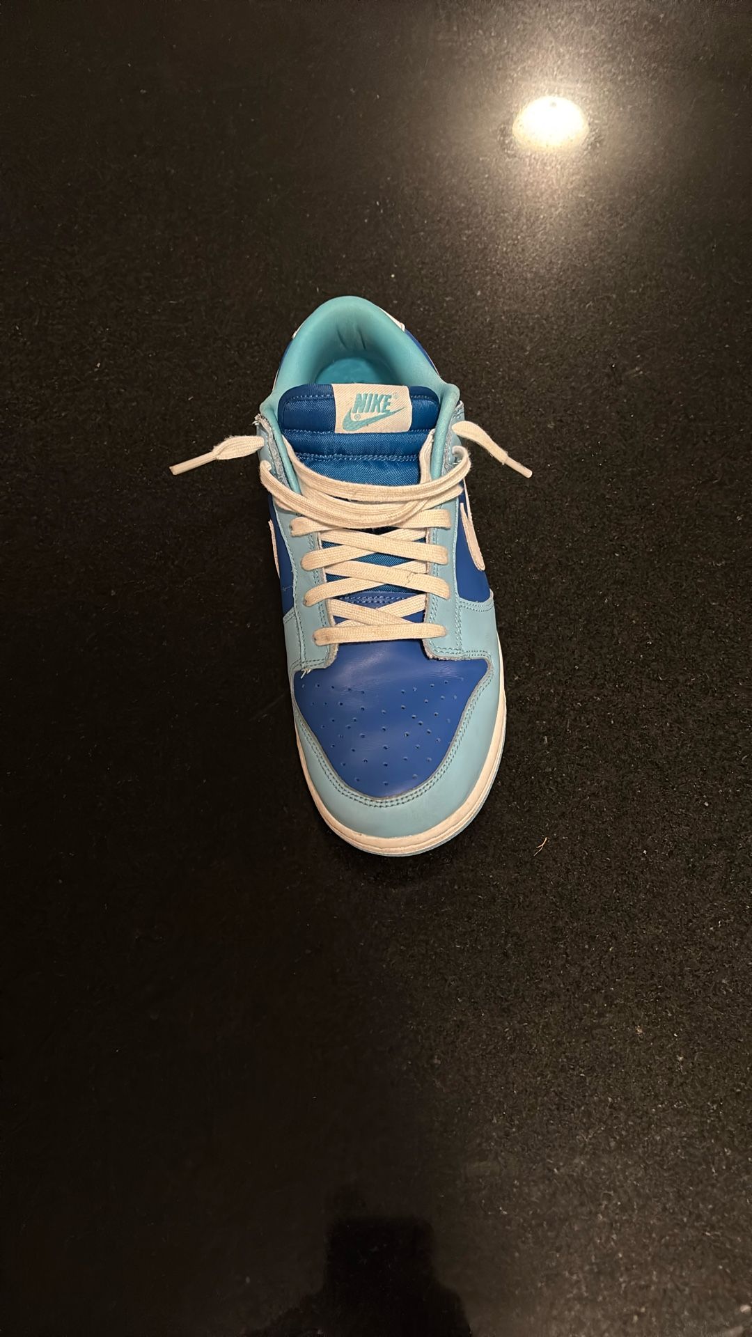 Nike Dunk Low Argon Used No Box Size 8.5