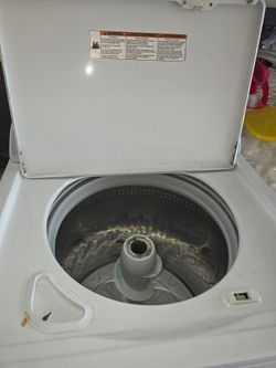 Labadora