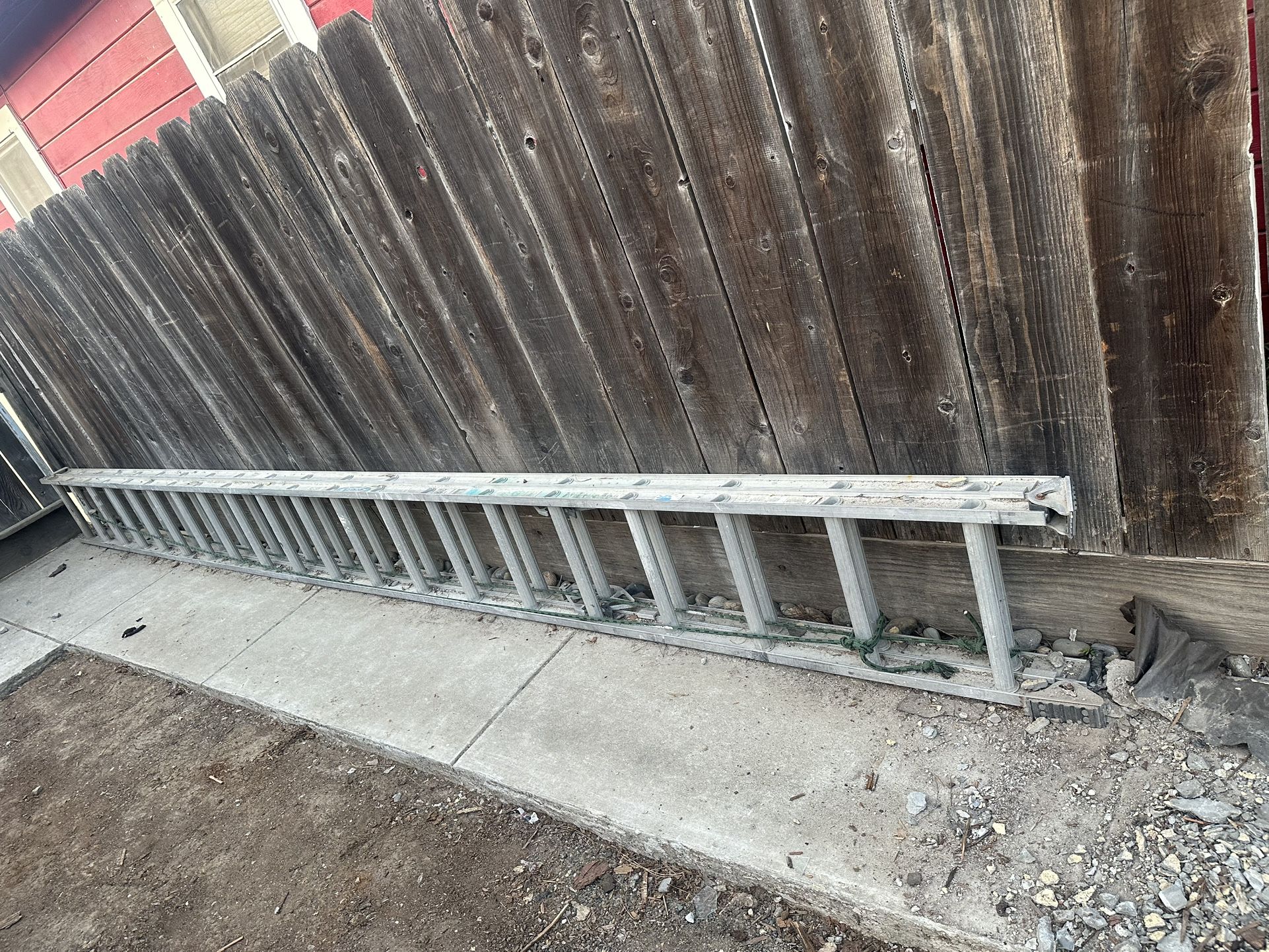 Ladder Werner 20ft