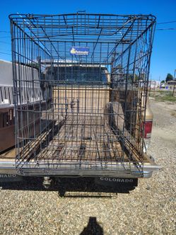 Petmate Large Wire Dog Crate