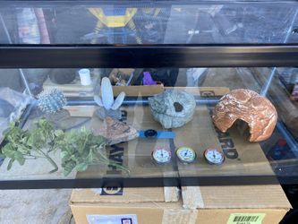 Terrarium