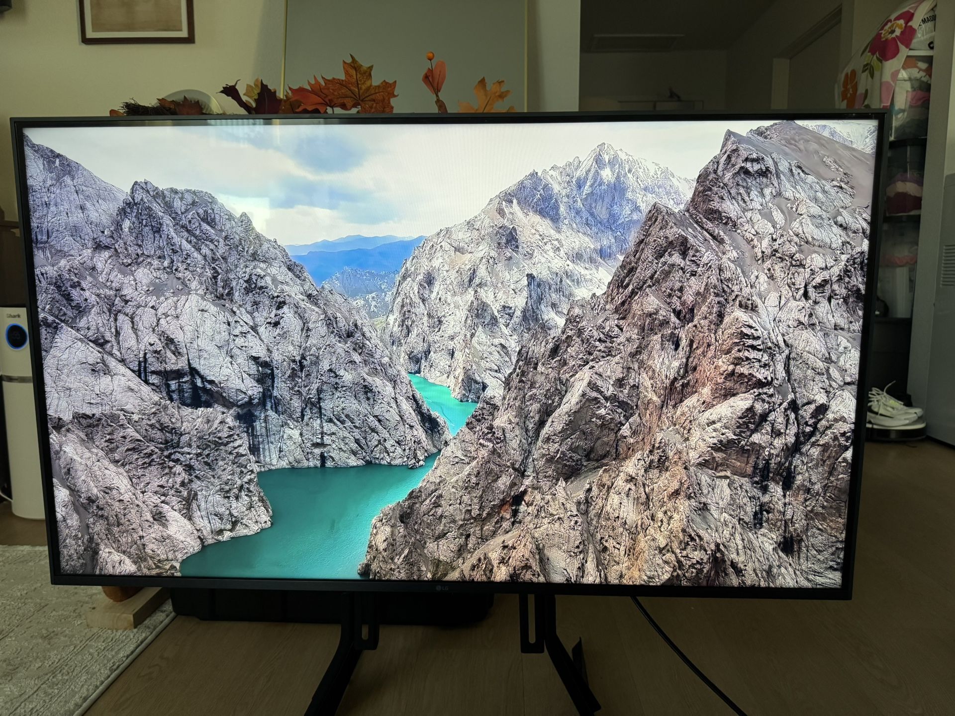 43" HDR LG Smart TV