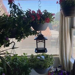 Custom Made Bird Feeder / Hanging Pentunias Flowers Pot 