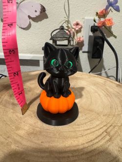 Kitty cat sitting on a pumpkin.