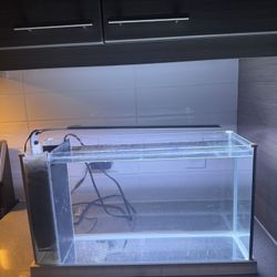 Fluval White Spec V Aquarium Kit, 5 Gallon