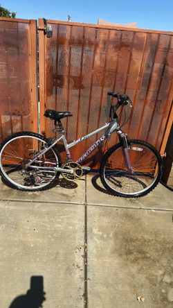 Raleigh woman bike