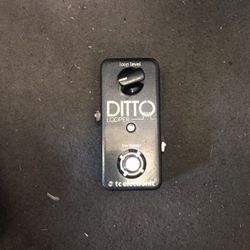 Ditto Looper Pedal 
