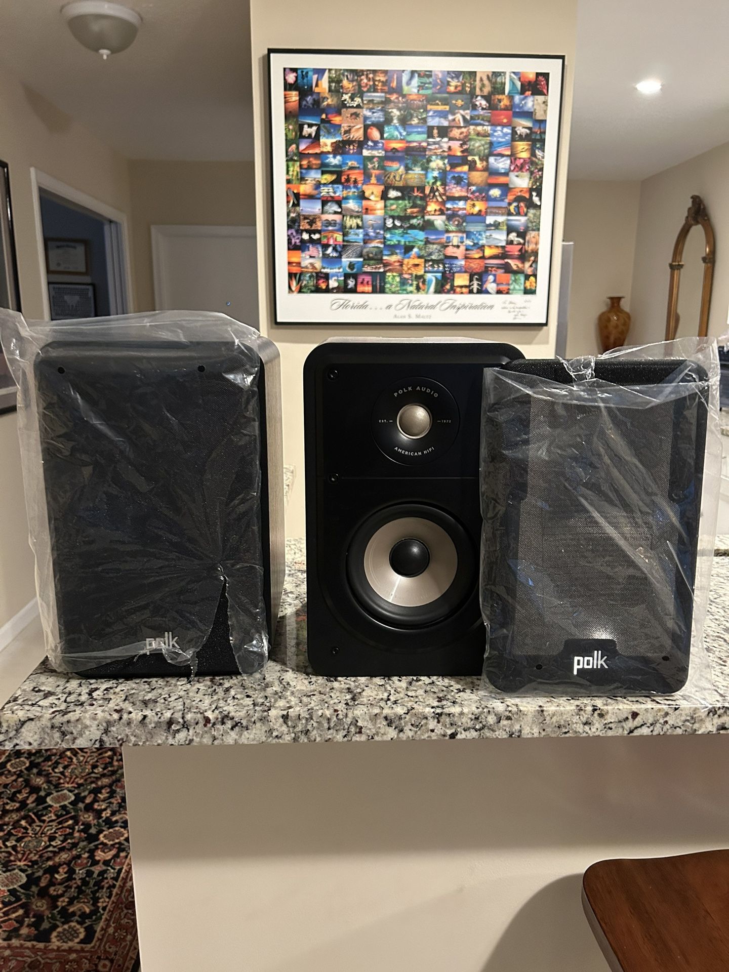 Polk Audio ES15 Speakers
