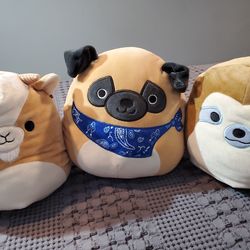 squishmallow bundle