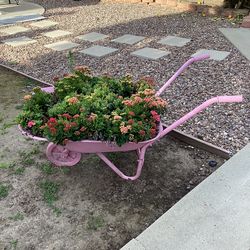 **** BEAUTIFUL CACTI IN A VINTAGE WHEELBARROW - PLEASE READ DESCRIPTION & SEE MY OTHER LISTINGS ****