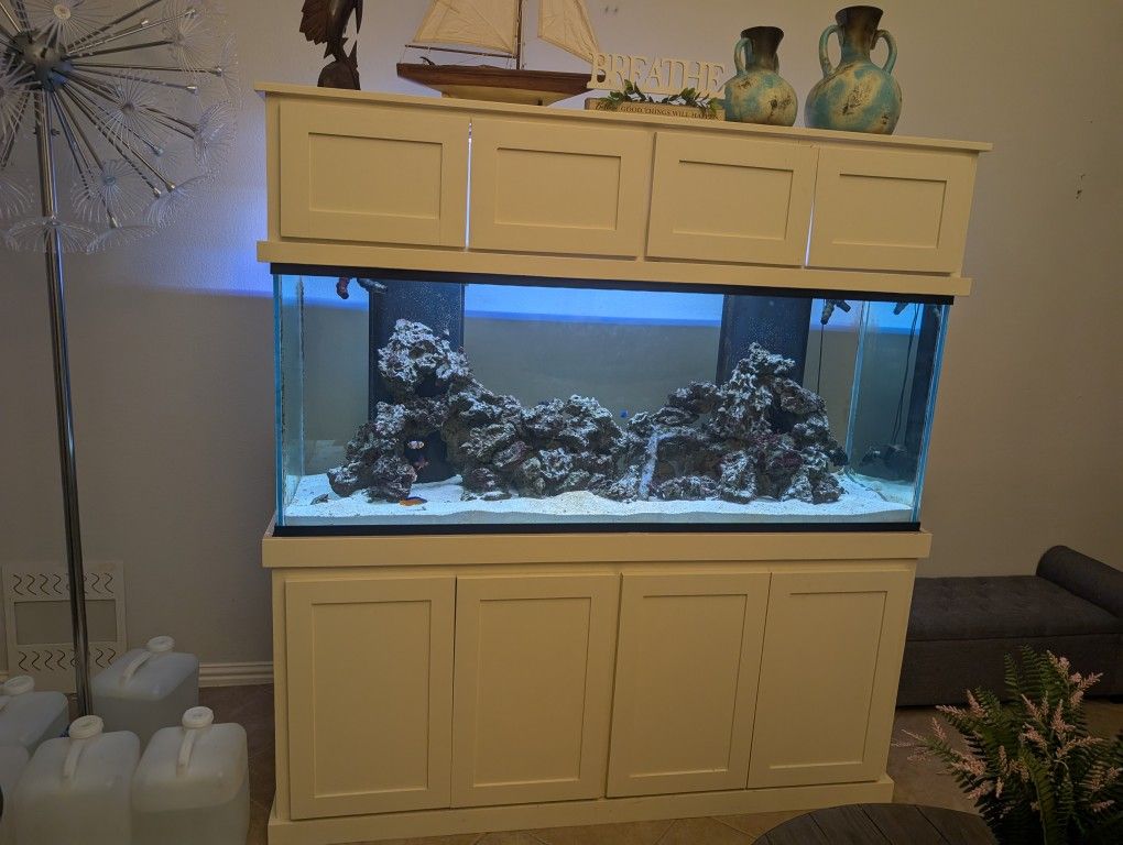 240 Gallon Saltwater Fish Tank