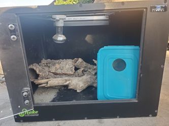Snake discovery reptile box