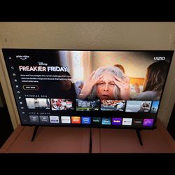 43 “ Vizio Tv