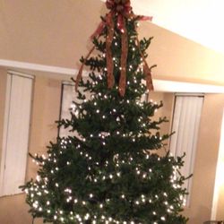 Árbol Navideño  10 Pies De Alto  No Incluye Las Luces Ni el Moño  $50 