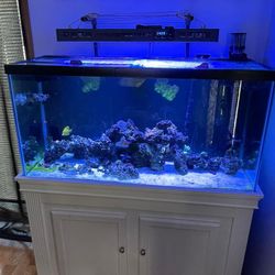 90g Saltwater tank w/ Everything 