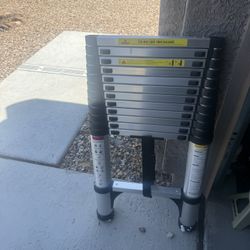 16ft Telescoping Ladder