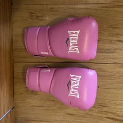 Everlast Boxing Gloves