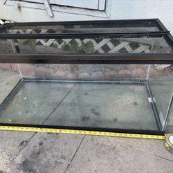 Tank . For Snake, Fishes and Guinea Pigs