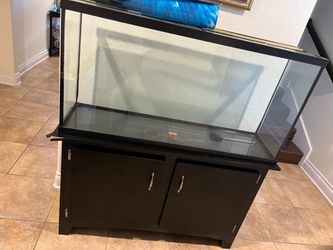 Fish tank