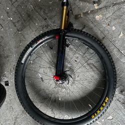 Fox 36evol 29in in forks with rim