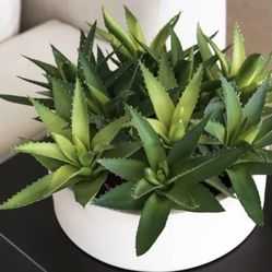 CG Hunter Faux Plant Aloe Vera New In Box
