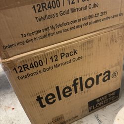 Teleflora Gold Cubes For Plants Or Crafts 