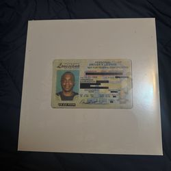 JPEGMAFIA - VETERAN VINYL LP (Alt ID Cover)