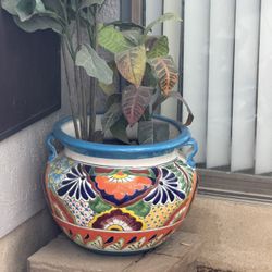 Large Patio Pots 