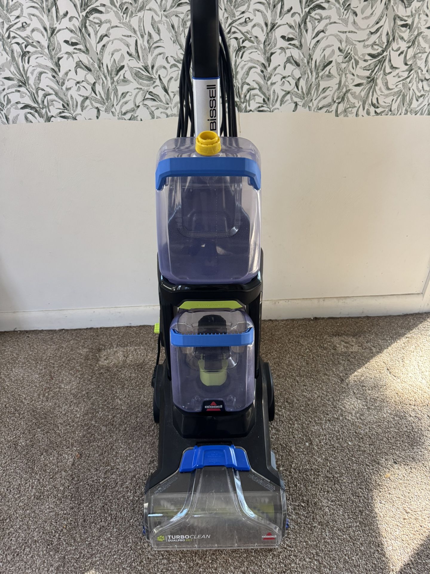 Carpet Cleaner