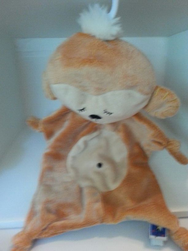 Monkey comforting cuddling friend