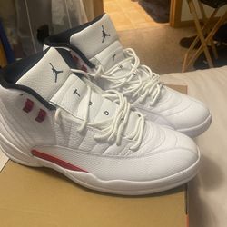 Air Jordan Retro 12
