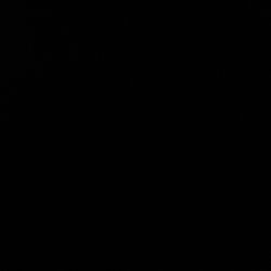 PS4 PRO (DISCRIPTION DOWN BELOW)